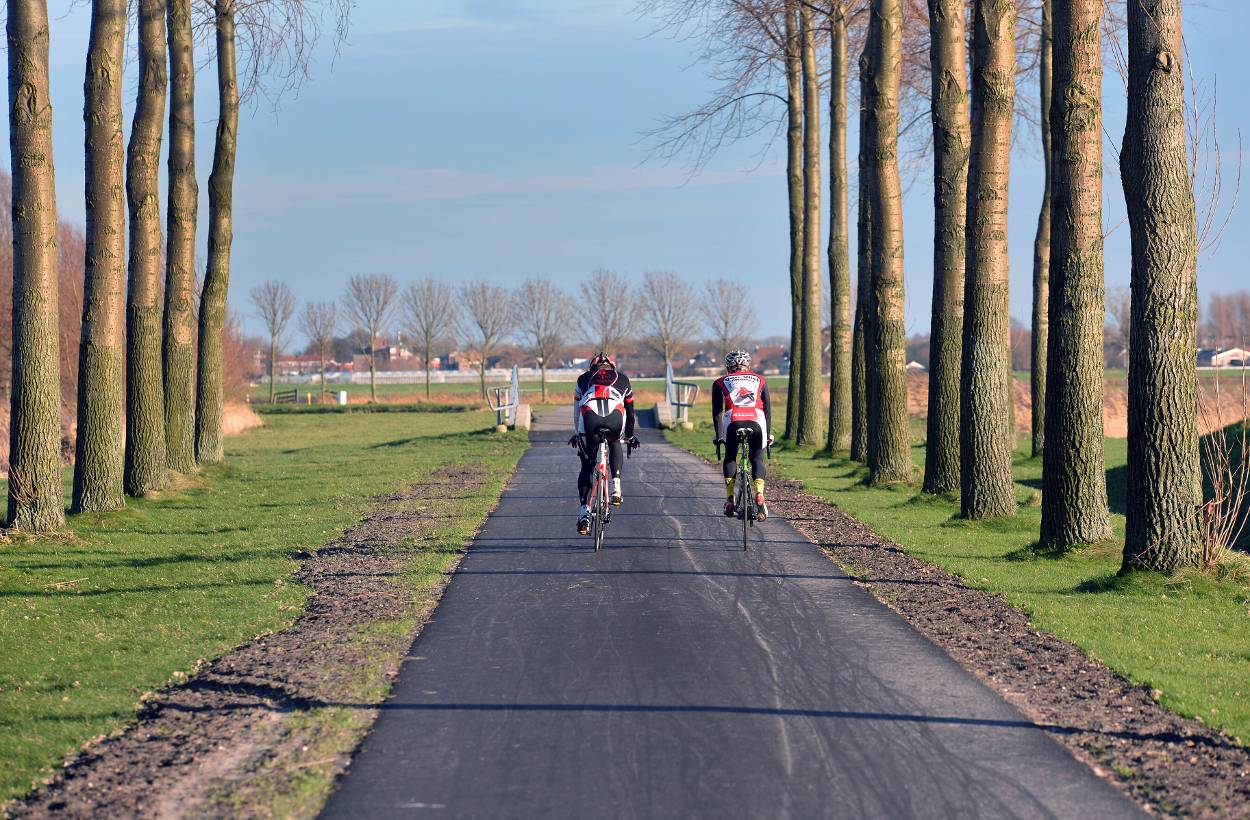 bomen en fietsers